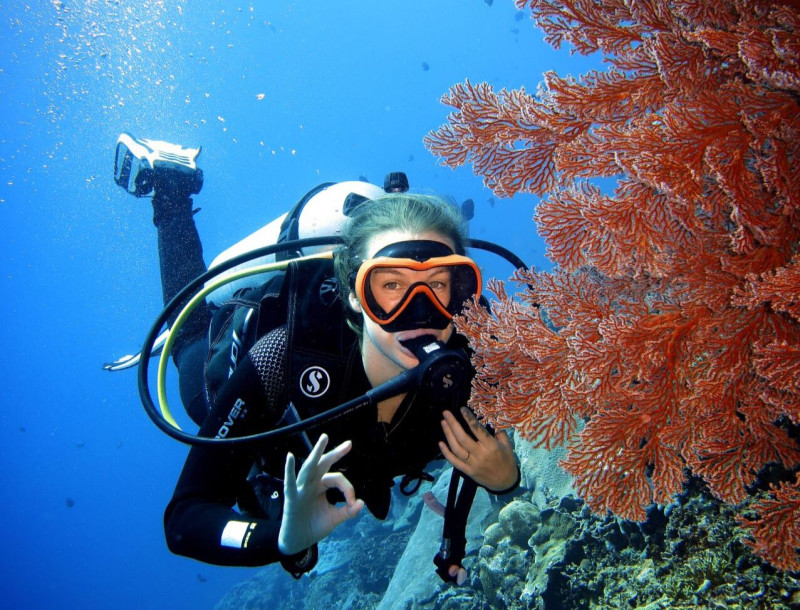 Plongée à Puerto Galera : découvrez les jardins de corail des Philippines