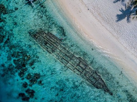 Plongée aux Philippines : Coron, Bohol et Malapascua